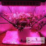 Full Spectrum LED Grow Light 165W with 3W