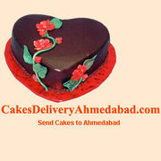 Celebrations you plan gets the cake dimnesion