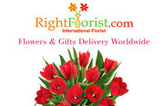 Grand hampers for expressing love for dear ones in Brazil