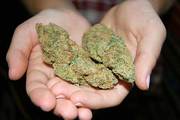 green weed coke marijuana shards cold lsd mdma