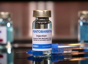Nembutal,   Pentobarbital Sodium Online