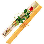 www.gifts2hongkong.com